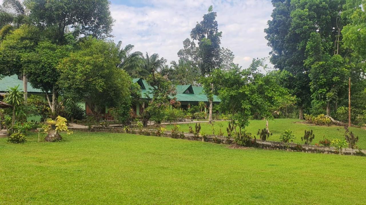 Wisma Batu Mandi Bukit Lawang Exterior foto