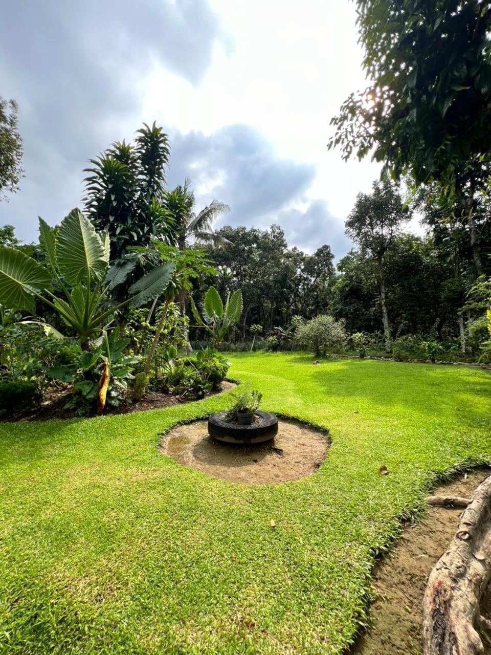 Wisma Batu Mandi Bukit Lawang Exterior foto