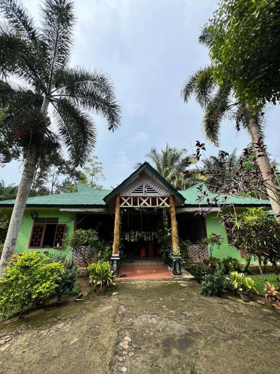 Wisma Batu Mandi Bukit Lawang Exterior foto