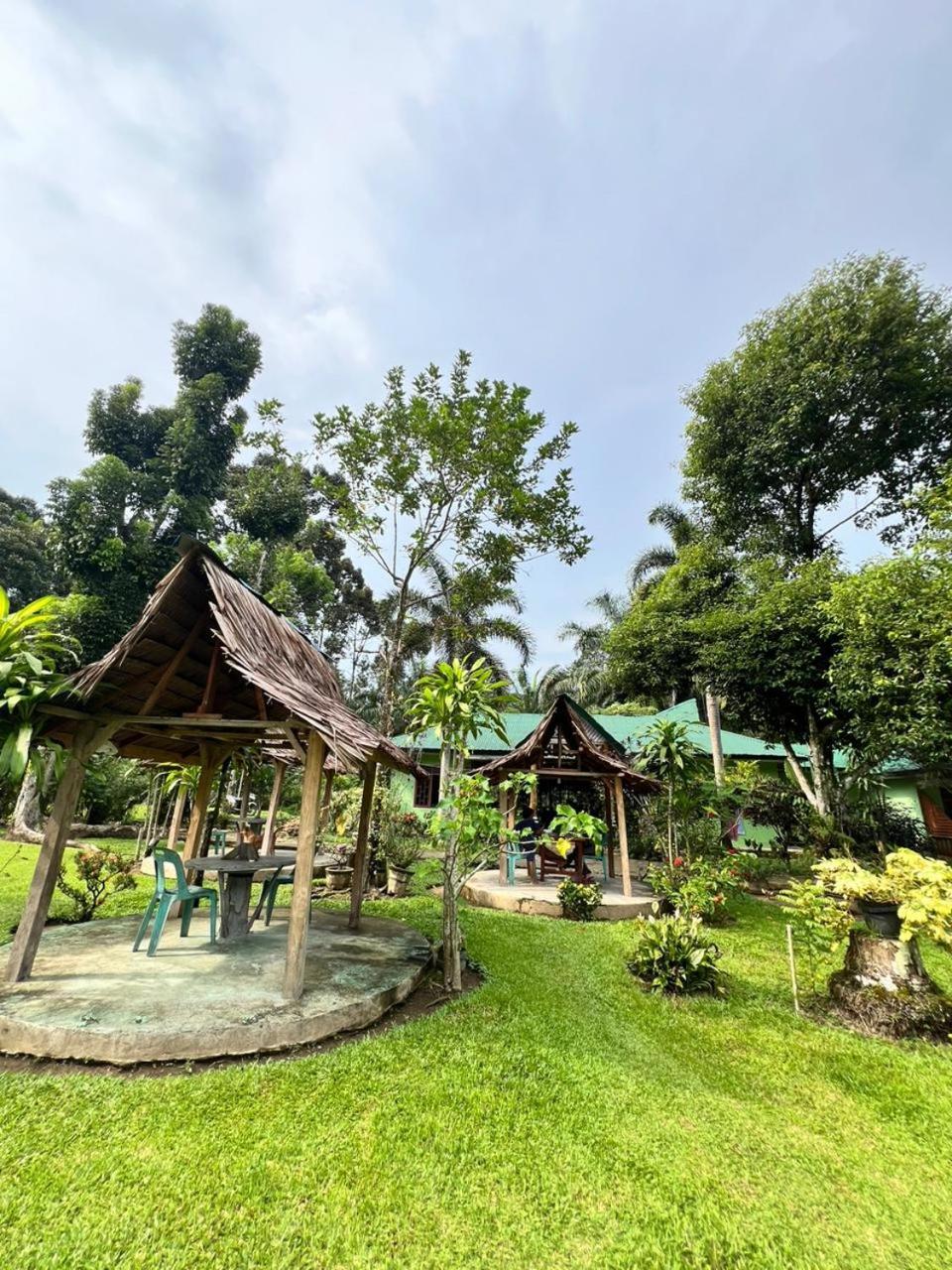 Wisma Batu Mandi Bukit Lawang Exterior foto