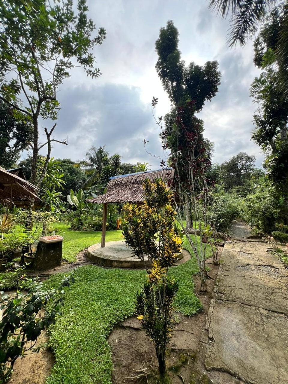 Wisma Batu Mandi Bukit Lawang Exterior foto