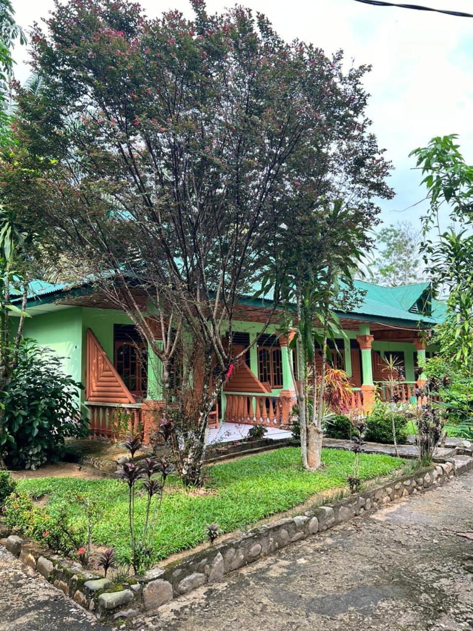 Wisma Batu Mandi Bukit Lawang Exterior foto