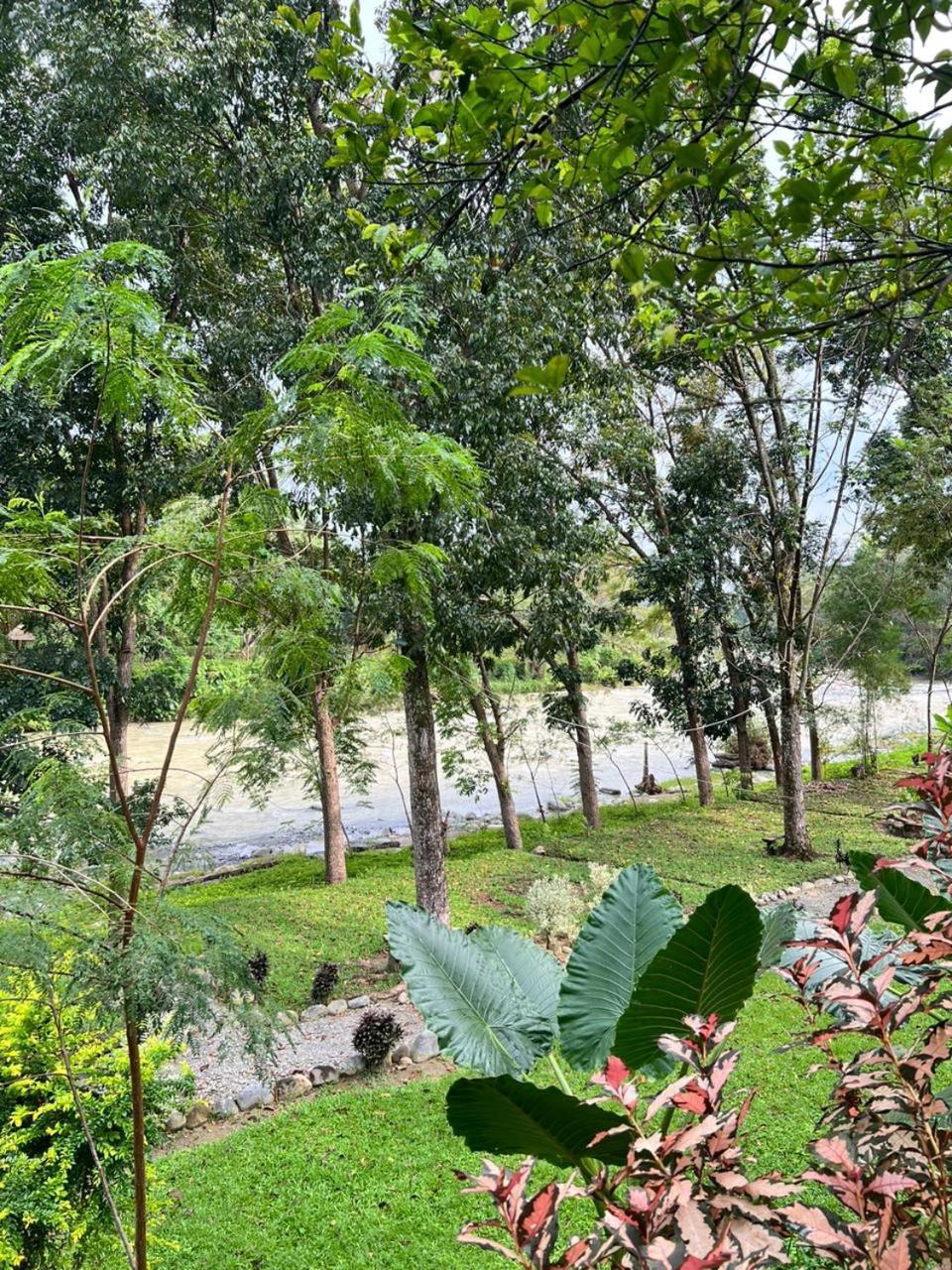 Wisma Batu Mandi Bukit Lawang Exterior foto