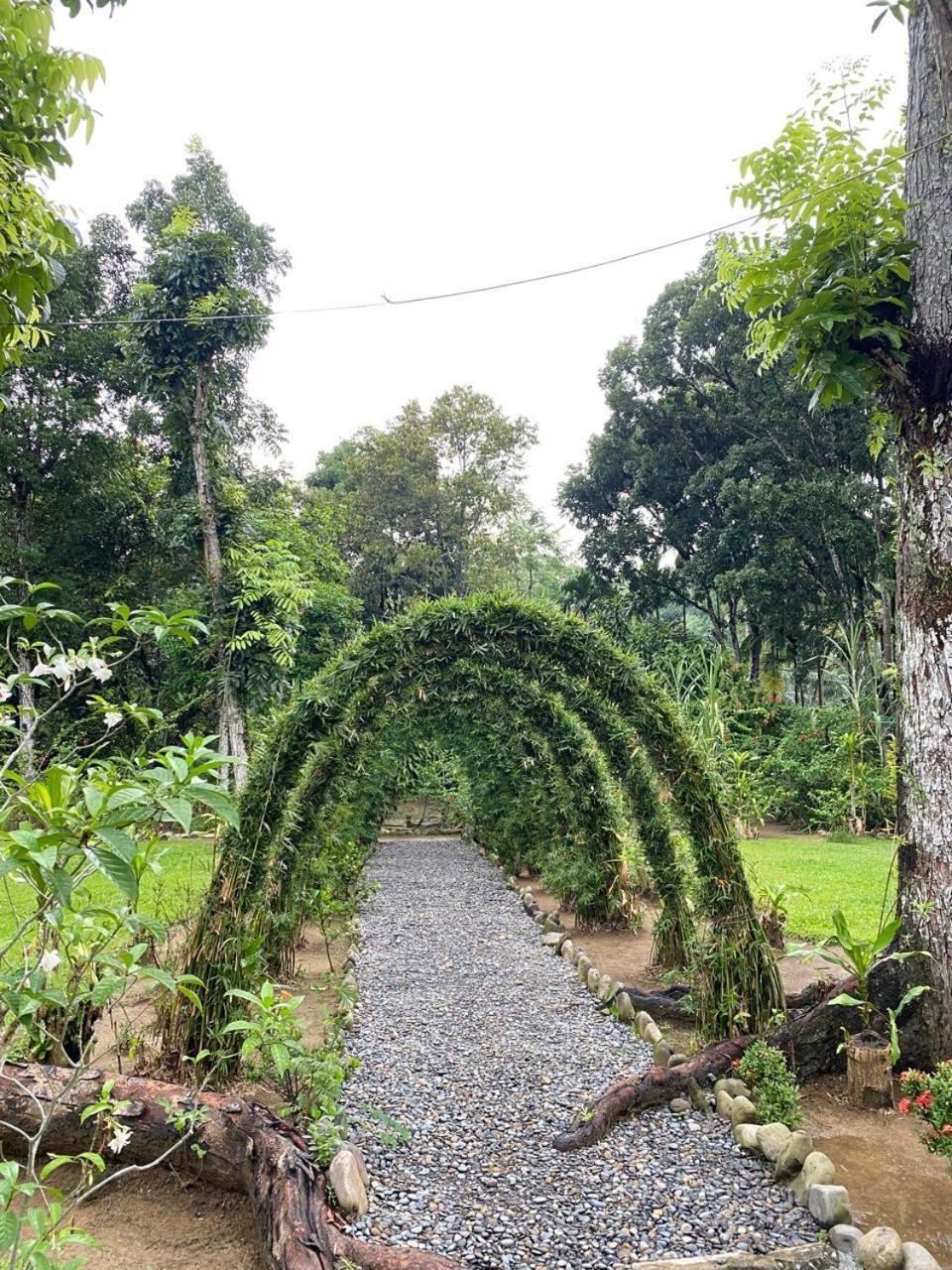 Wisma Batu Mandi Bukit Lawang Exterior foto